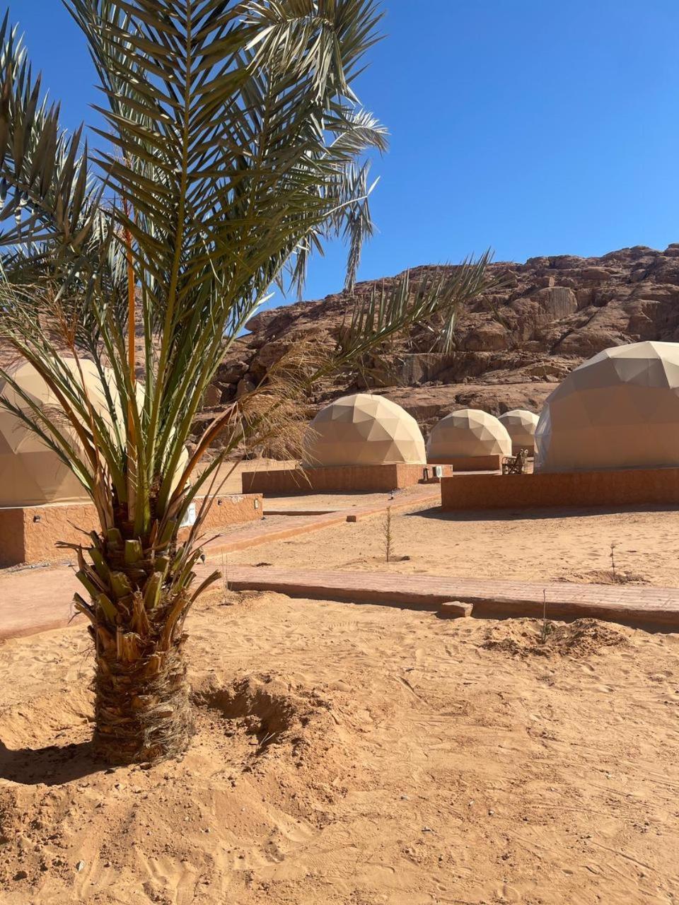 Wadi Rum Aviva Camp Zewnętrze zdjęcie